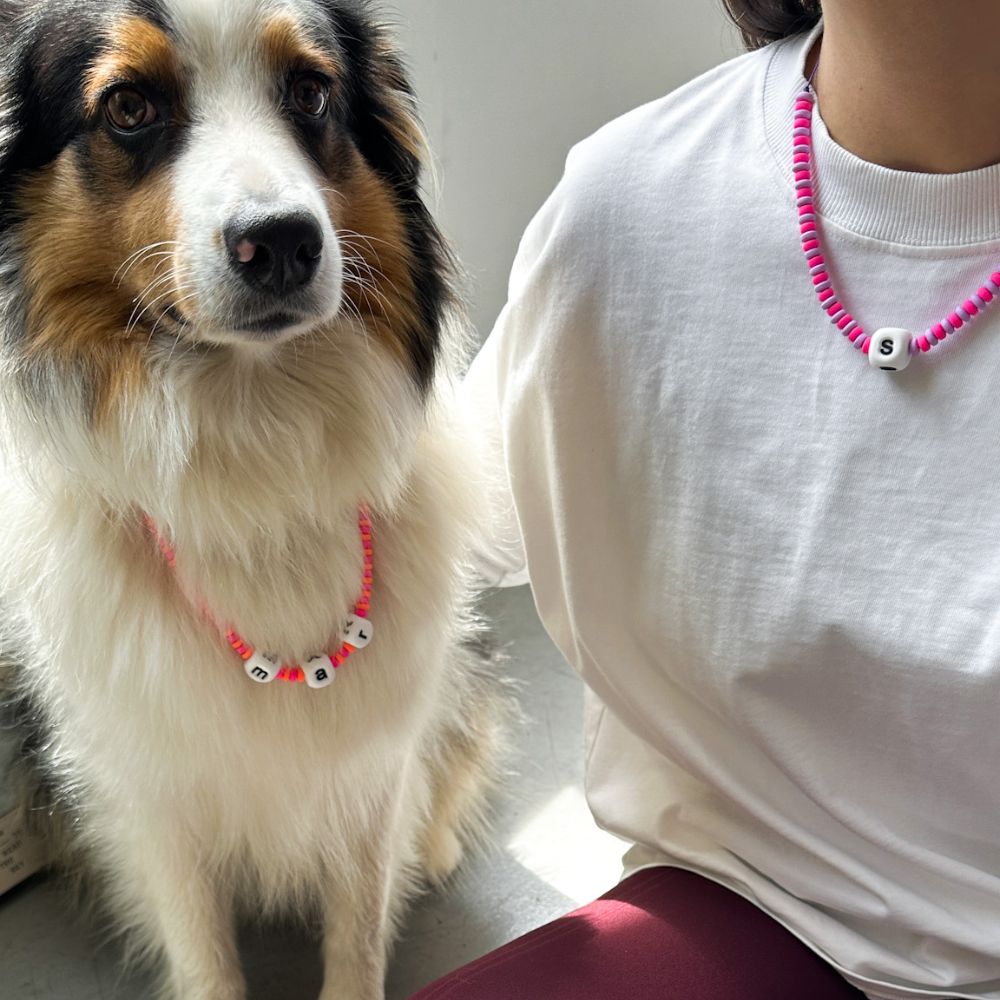 Collar con nombre de colores