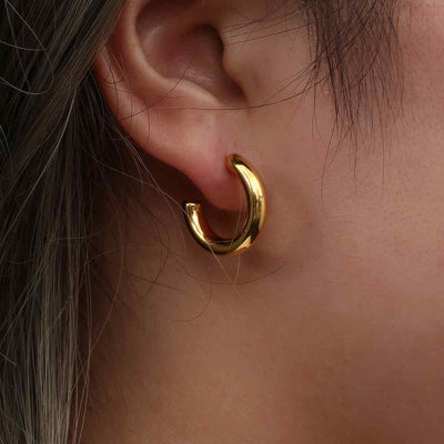 Roy earrings