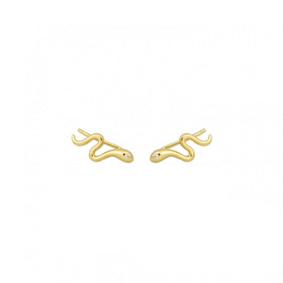 Pendientes Trepadores Snake (1 Unidad)