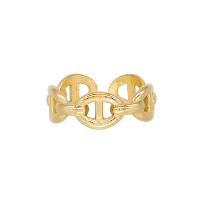 Anillo Link