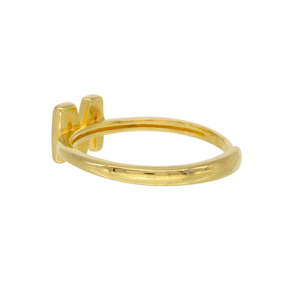 Anillo Basic Initial