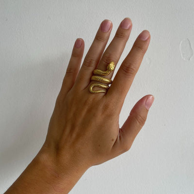 Anillo Boa