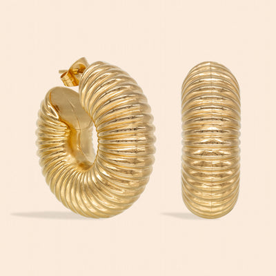Boucles d'oreilles fossiles