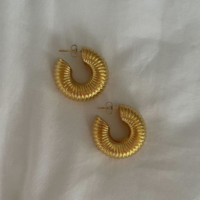 Boucles d'oreilles fossiles