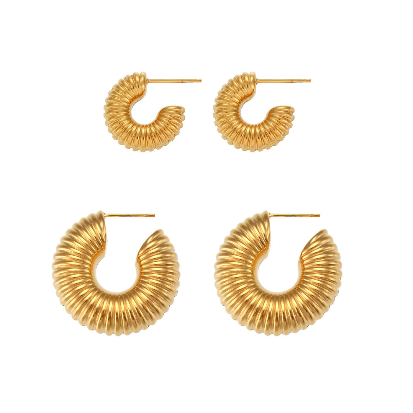 Fossil Earrings