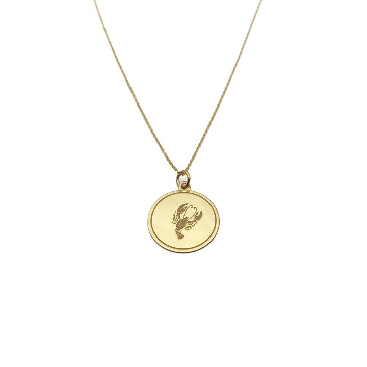 Picture Horoscope Pendant