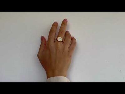 Anillo Sello Circle Pave