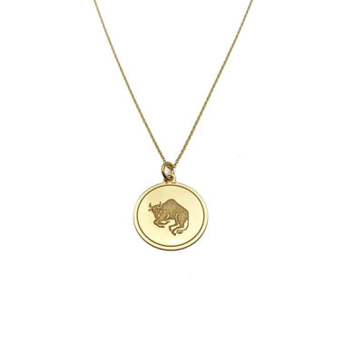 Picture Horoscope Pendant